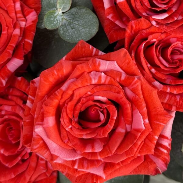 Swirl Candy(Faux Flower)