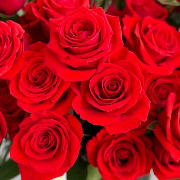 Bright Red Roses & Vase(Faux Flower)