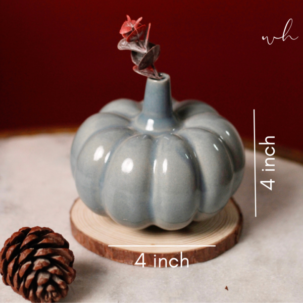 131_1f8aca2c-ee48-4293-8cf1-ec412c4ba204.png Slate Grey Pumpkin