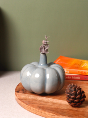 17_bb0799e4-73c9-4a6e-85e4-0742299bf991.png Slate Grey Pumpkin