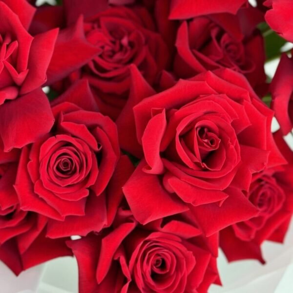 Red Velvet (Faux Flower)