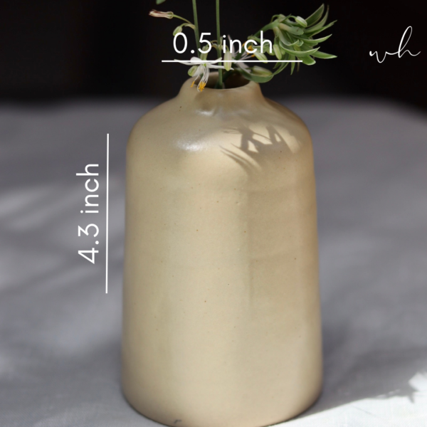 Cream Bud Vase - Tall