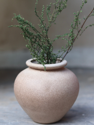 The Lilliputs - Rustic Matka