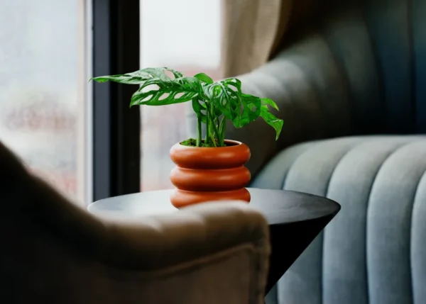 The Demeter (Faux Flower)