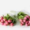 Double The Dutch Tulips (Faux Flower)
