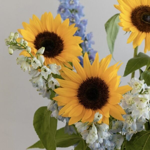 IMG_3260-copy-860x860-1.jpg Country Comfort (Faux Flower)