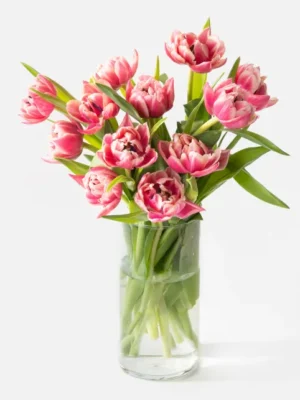 The Dutch Tulips (Faux Flower)