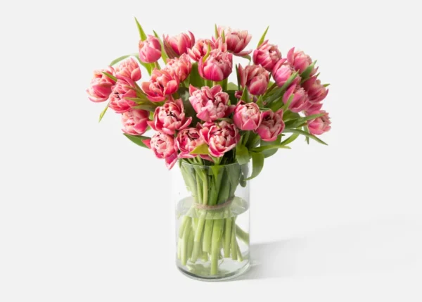 Double The Dutch Tulips (Faux Flower)