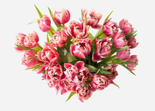 Double The Dutch Tulips (Faux Flower)