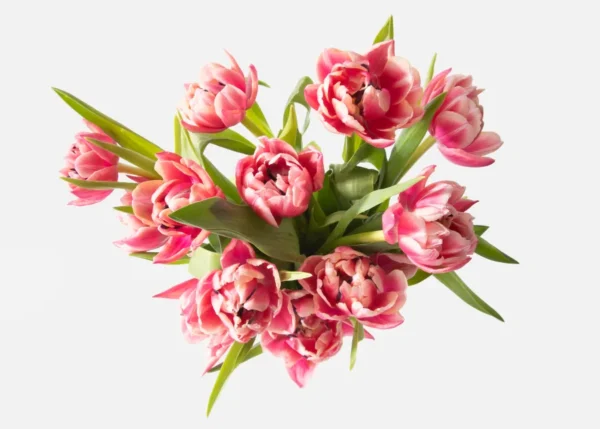 Parasol_top.webp The Dutch Tulips (Faux Flower)