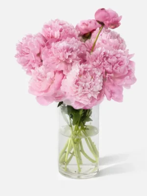 The Peony (Faux Flower)