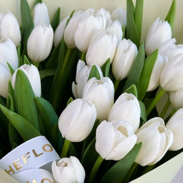 bgdfmbvdfnb-860x860-1.jpg Air (Faux Flower)