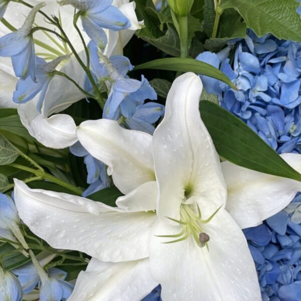 cfdbdffdh-860x860-1.jpg Oceanic Opulence (Faux Flower)