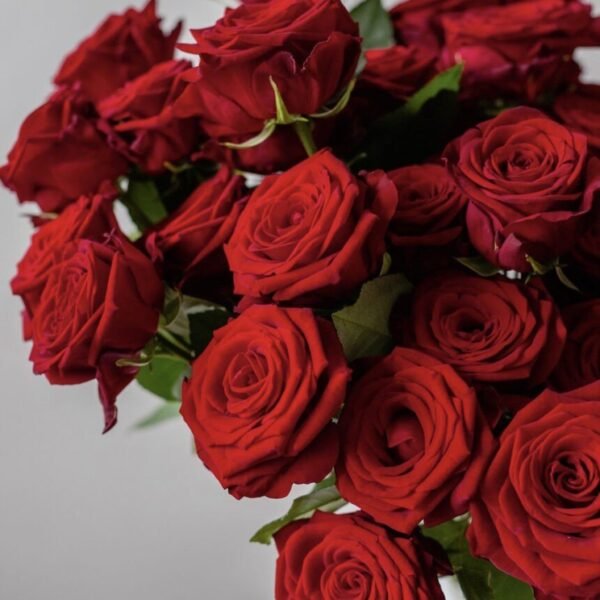 Red Roses (Faux Flower)