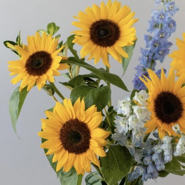 fdgfdgdg-860x860-1.jpg Country Comfort (Faux Flower)