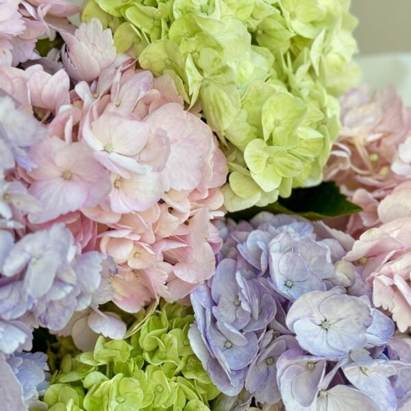 Pastel Cloud (Faux Flower)