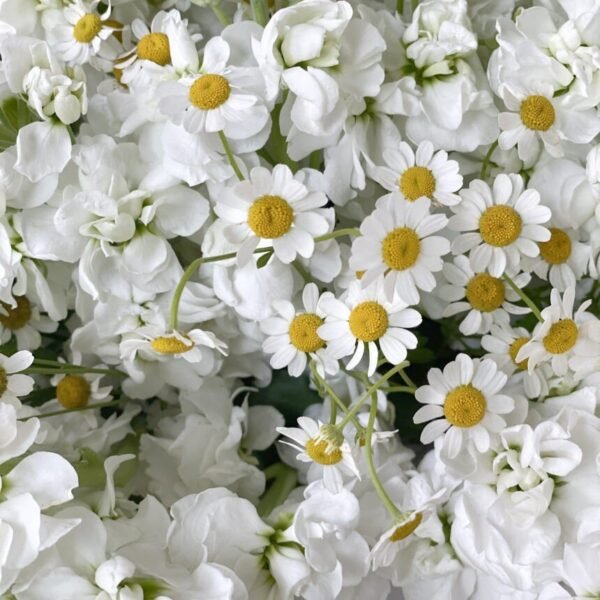 hgcfghghgfh-860x860-1.jpg Letter (Faux Flower)