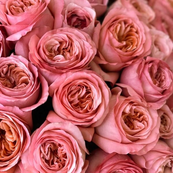 hgfhfhh-860x860-1.jpg Delight (Faux Flower)