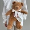 nbmgfbmnfb-860x860-1.jpg Teddy Bear