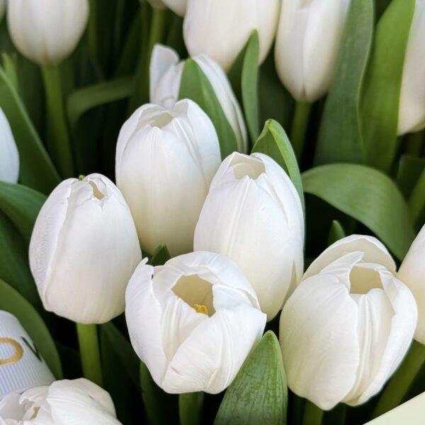 vnbcnvmbcmbv.jpg Air (Faux Flower)